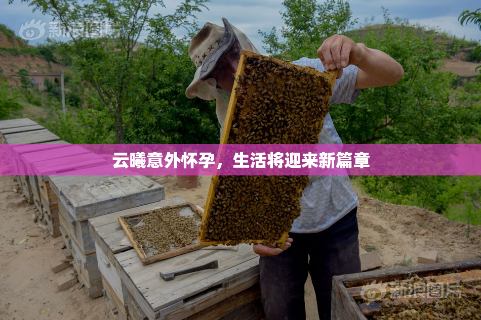 云曦意外怀孕，生活将迎来新篇章