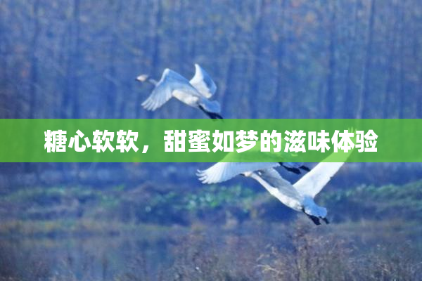 糖心软软，甜蜜如梦的滋味体验