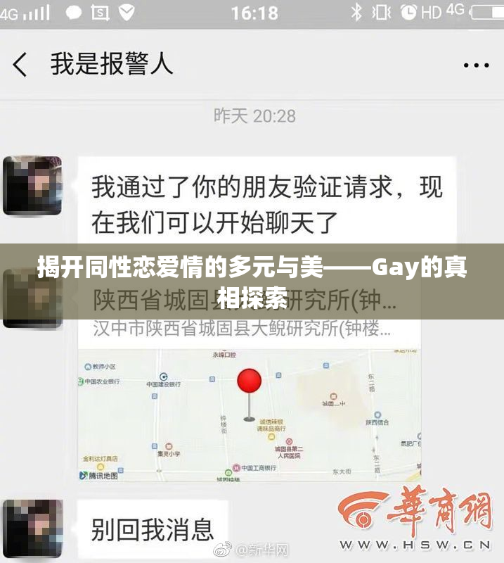 揭开同性恋爱情的多元与美——Gay的真相探索