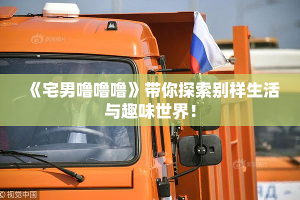 《宅男噜噜噜》带你探索别样生活与趣味世界！