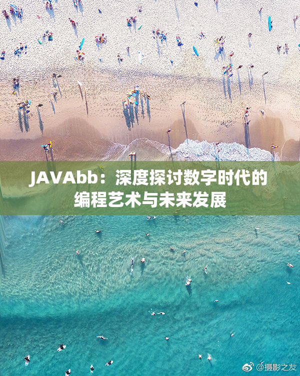 JAVAbb：深度探讨数字时代的编程艺术与未来发展