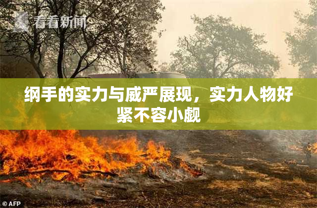 纲手的实力与威严展现，实力人物好紧不容小觑