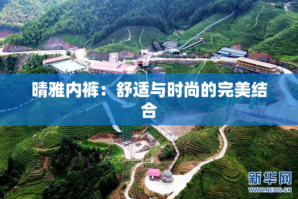 晴雅内裤：舒适与时尚的完美结合