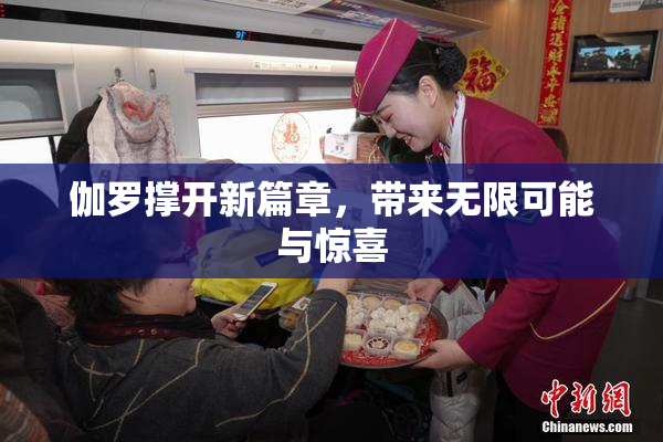 伽罗撑开新篇章，带来无限可能与惊喜