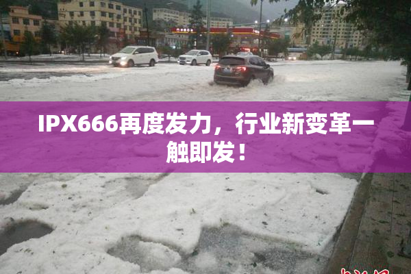 IPX666再度发力，行业新变革一触即发！