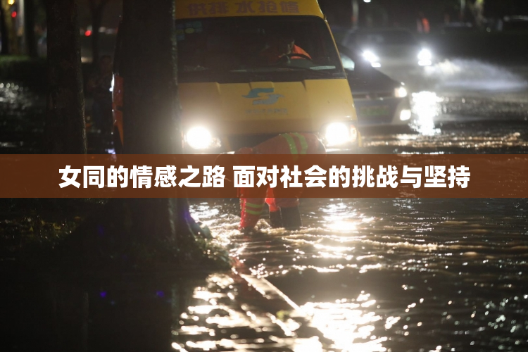 女同的情感之路 面对社会的挑战与坚持
