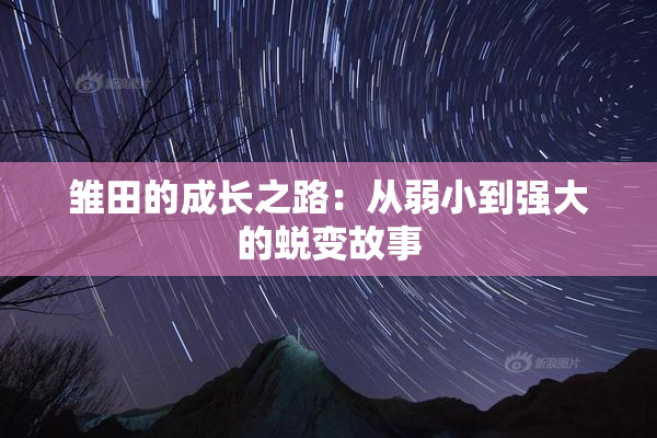 雏田的成长之路：从弱小到强大的蜕变故事