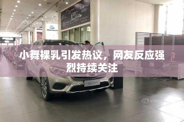 小舞裸乳引发热议，网友反应强烈持续关注