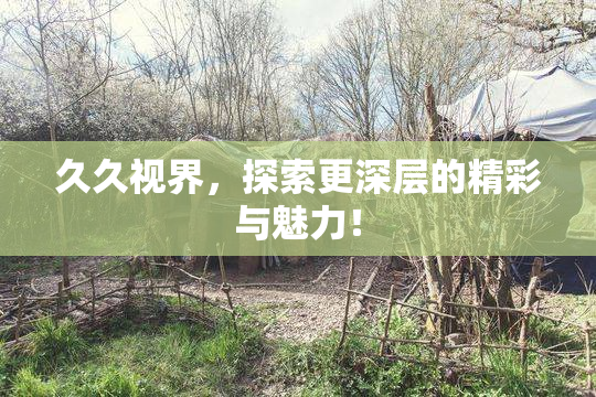久久视界，探索更深层的精彩与魅力！