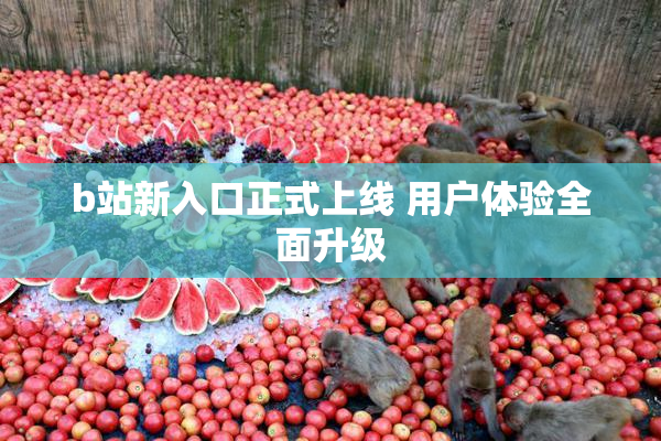 b站新入口正式上线 用户体验全面升级