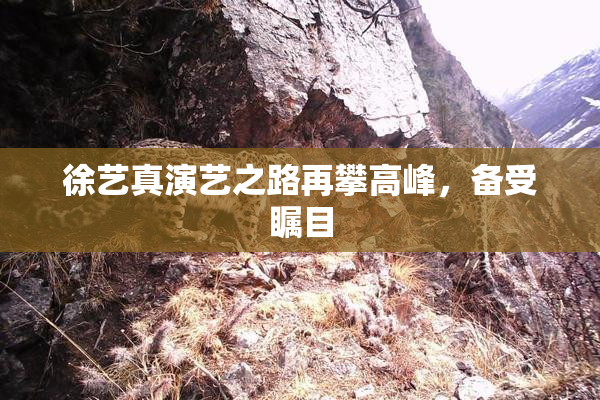 徐艺真演艺之路再攀高峰，备受瞩目