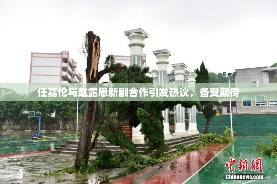 任嘉伦与赵露思新剧合作引发热议，备受期待