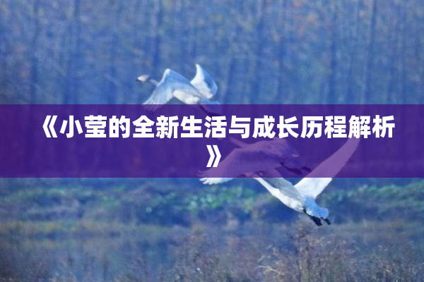《小莹的全新生活与成长历程解析》