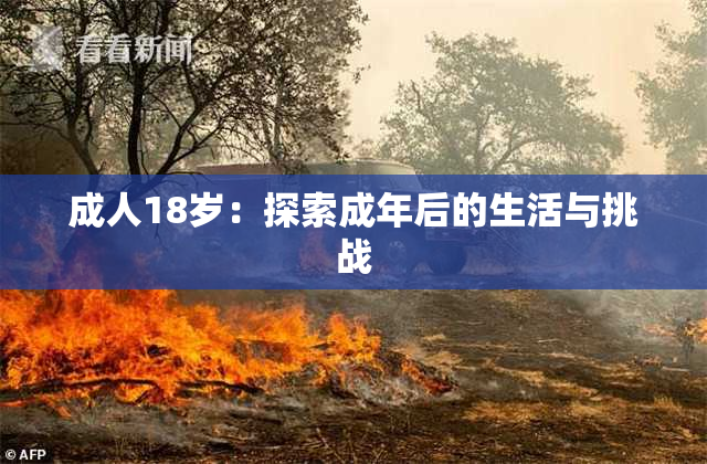 成人18岁：探索成年后的生活与挑战