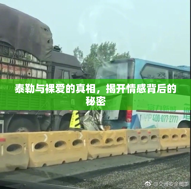 泰勒与裸爱的真相，揭开情感背后的秘密