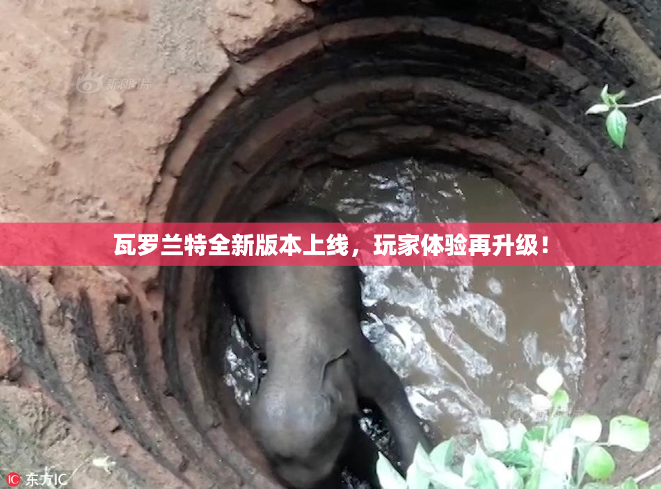 瓦罗兰特全新版本上线，玩家体验再升级！