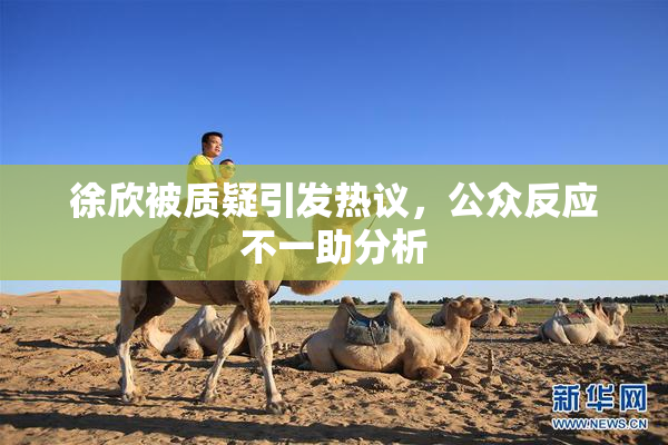 徐欣被质疑引发热议，公众反应不一助分析