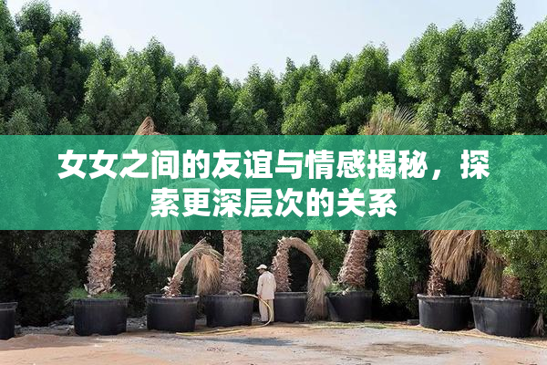 女女之间的友谊与情感揭秘，探索更深层次的关系