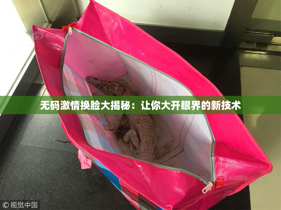 无码激情换脸大揭秘：让你大开眼界的新技术