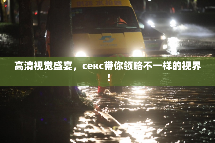 高清视觉盛宴，ceкс带你领略不一样的视界！