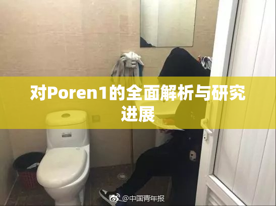 对Poren1的全面解析与研究进展