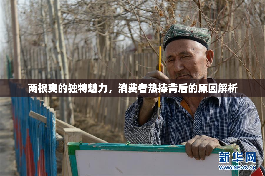 两根爽的独特魅力，消费者热捧背后的原因解析