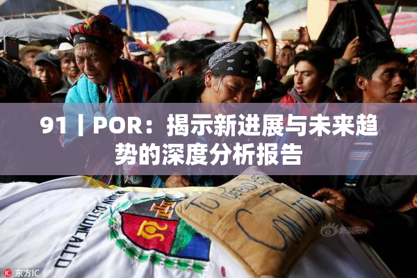 91丨POR：揭示新进展与未来趋势的深度分析报告