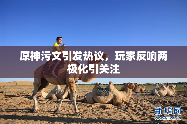 原神污文引发热议，玩家反响两极化引关注