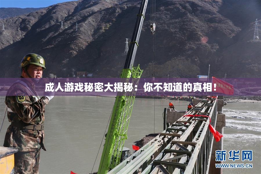 成人游戏秘密大揭秘：你不知道的真相！