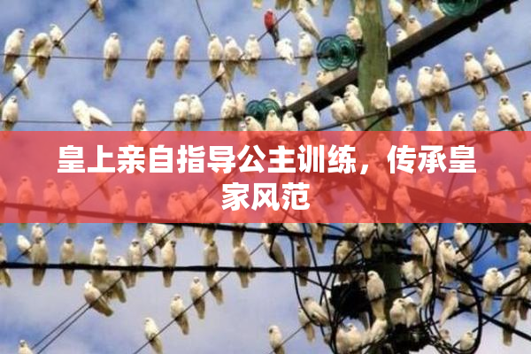 皇上亲自指导公主训练，传承皇家风范