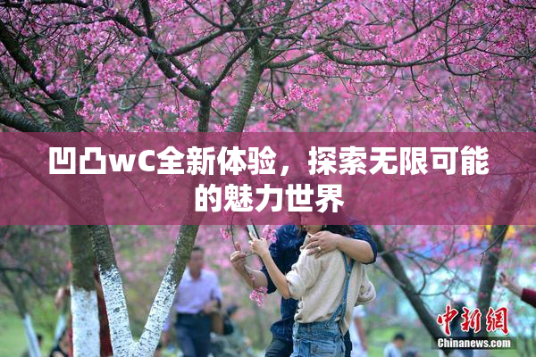凹凸wC全新体验，探索无限可能的魅力世界