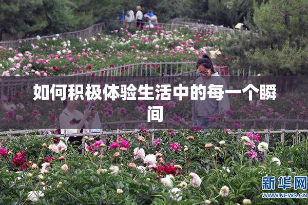 如何积极体验生活中的每一个瞬间
