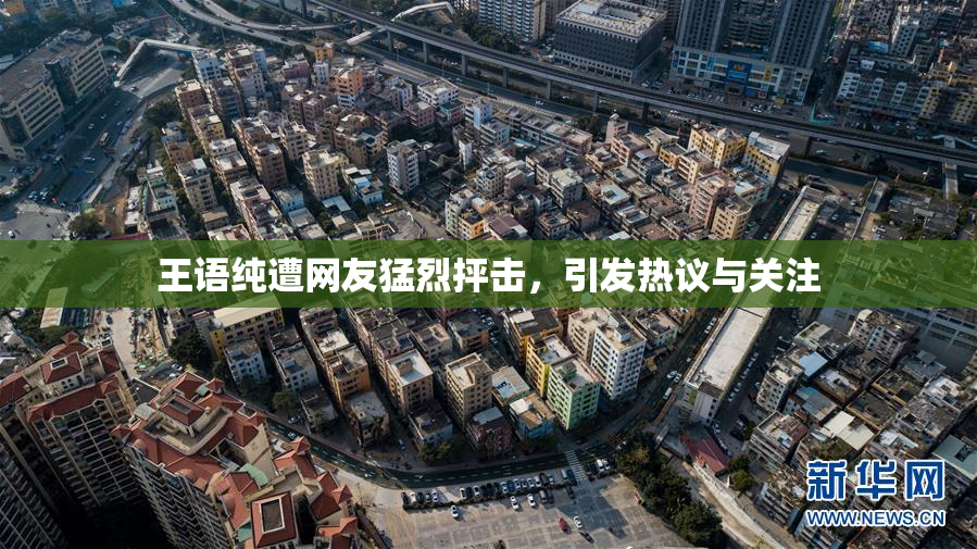 王语纯遭网友猛烈抨击，引发热议与关注