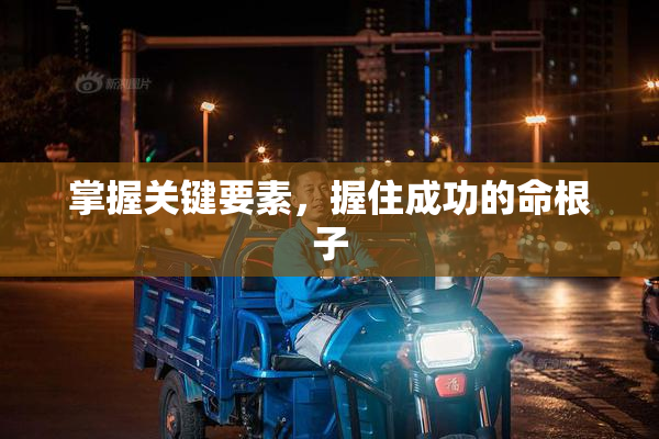掌握关键要素，握住成功的命根子