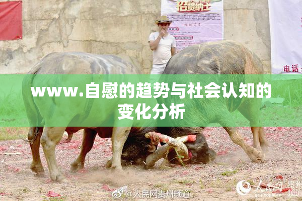 www.自慰的趋势与社会认知的变化分析