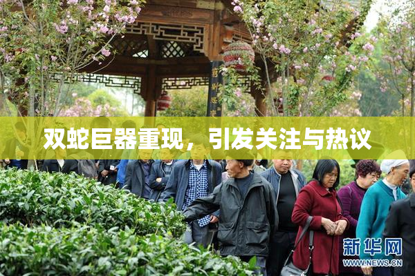 双蛇巨器重现，引发关注与热议