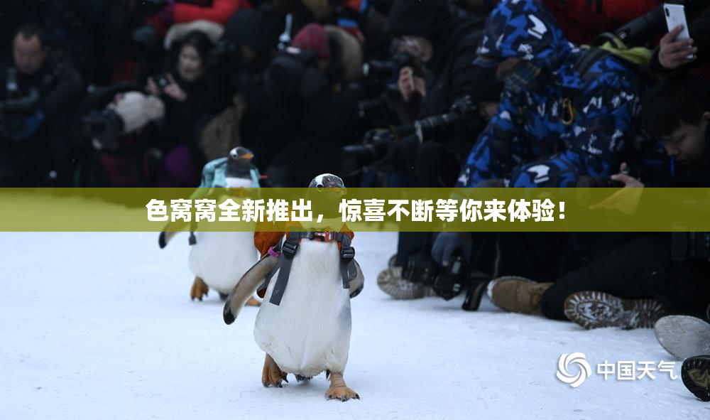 色窝窝全新推出，惊喜不断等你来体验！