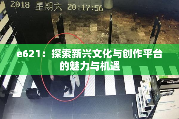 e621：探索新兴文化与创作平台的魅力与机遇