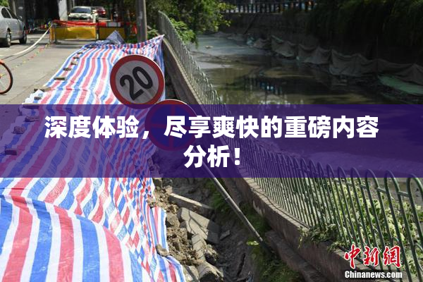 深度体验，尽享爽快的重磅内容分析！