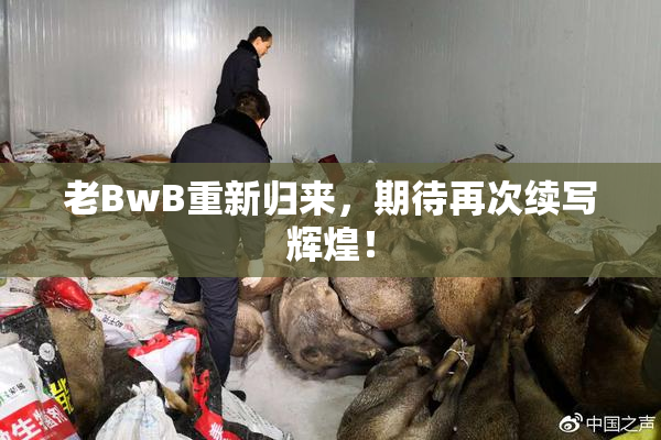 老BwB重新归来，期待再次续写辉煌！