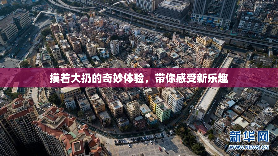 摸着大扔的奇妙体验，带你感受新乐趣