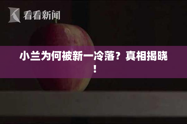 小兰为何被新一冷落？真相揭晓！