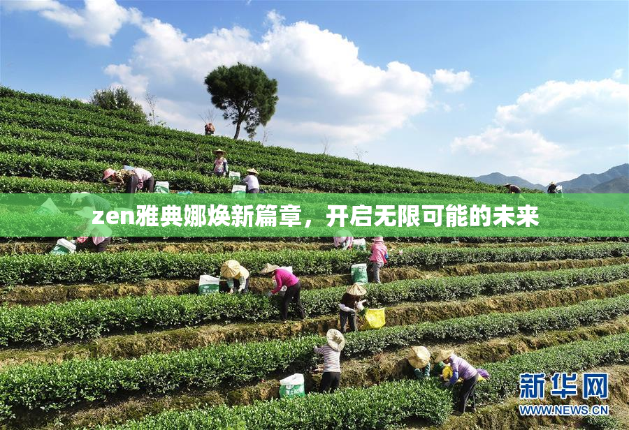 zen雅典娜焕新篇章，开启无限可能的未来