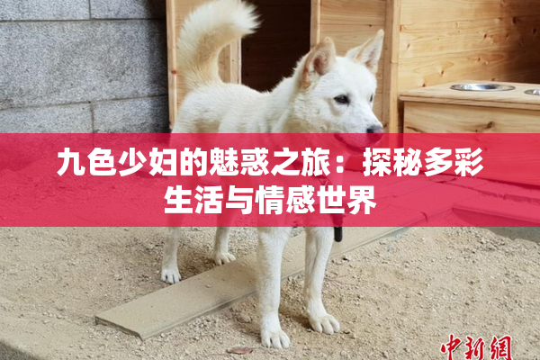 九色少妇的魅惑之旅：探秘多彩生活与情感世界