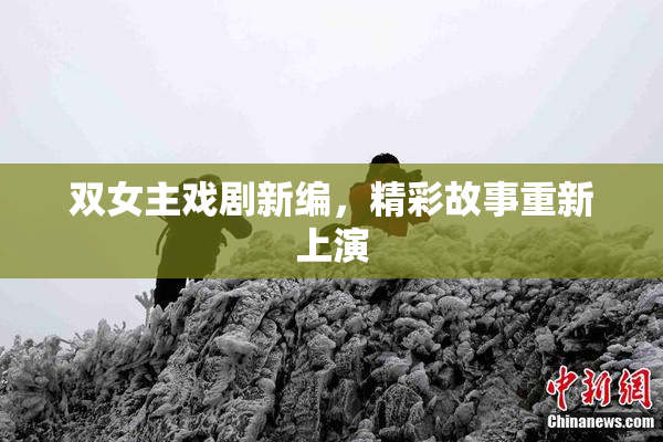 双女主戏剧新编，精彩故事重新上演