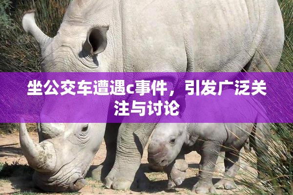 坐公交车遭遇c事件，引发广泛关注与讨论