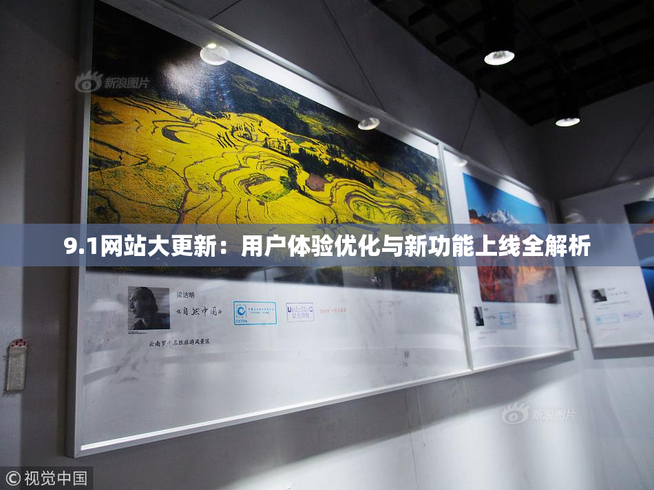 9.1网站大更新：用户体验优化与新功能上线全解析