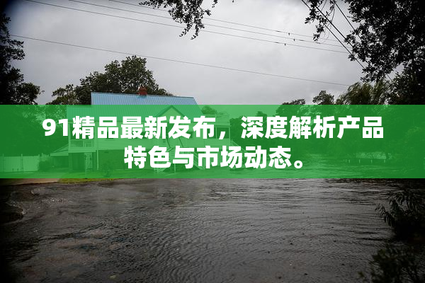 91精品最新发布，深度解析产品特色与市场动态。