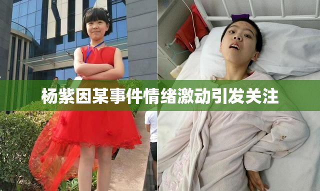 杨紫因某事件情绪激动引发关注