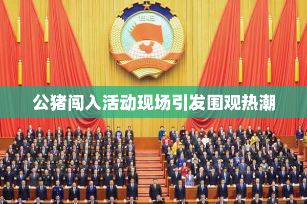 公猪闯入活动现场引发围观热潮